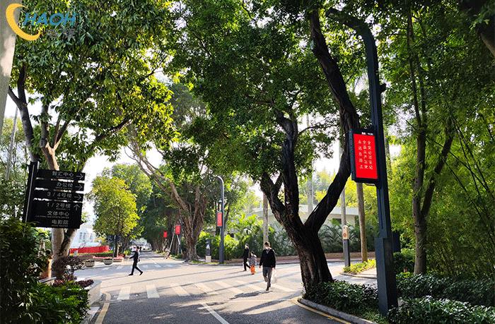 智慧路灯的出现:照明技术的新篇章与社区生活的全面革新